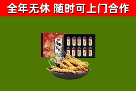 瓯海区烟酒回收冬虫夏草礼盒.jpg